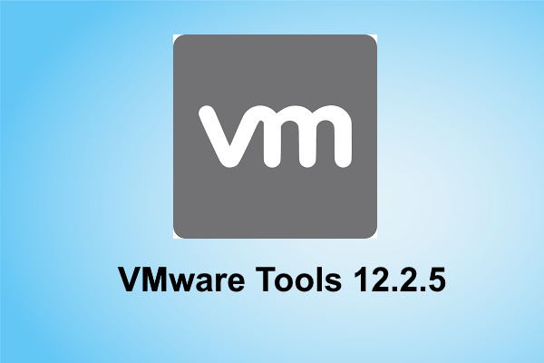 VMware Tools for Windows 12.2.5